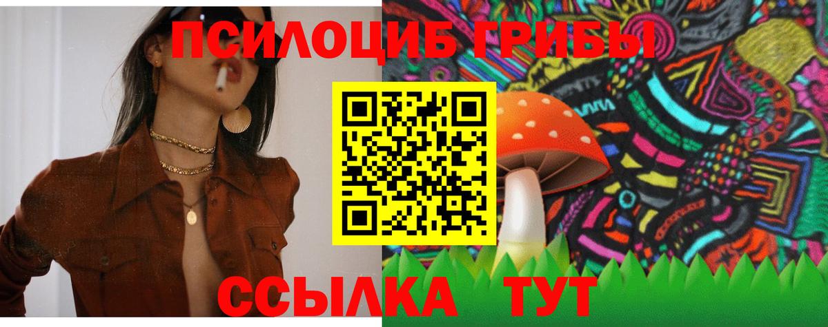 Псилоцибиновые грибы MAGIC MUSHROOMS Долгопрудный