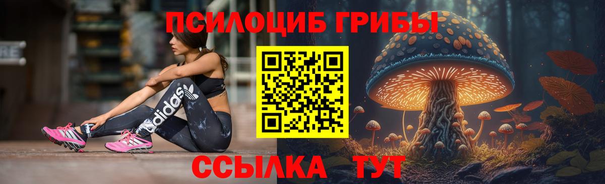 Псилоцибиновые грибы ЛСД  Вход с VPN  Долгопрудный  Галлюциногенные грибы ЛСД 